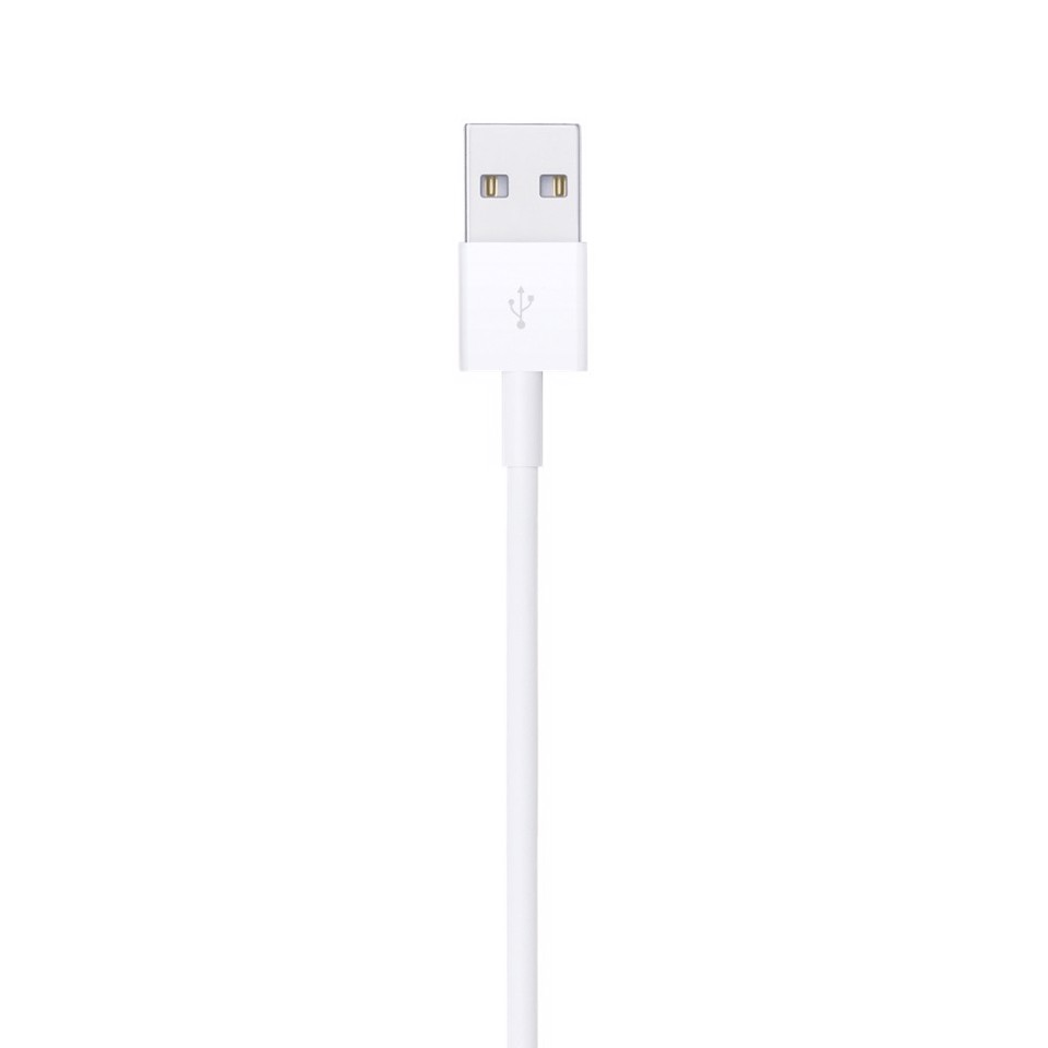 Apple Cavo da Lightning a USB (1 metro)