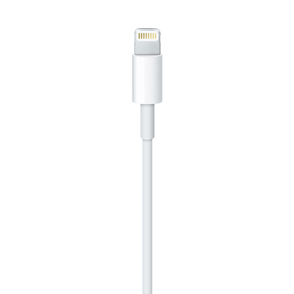Apple Cavo da Lightning a USB (1 m)