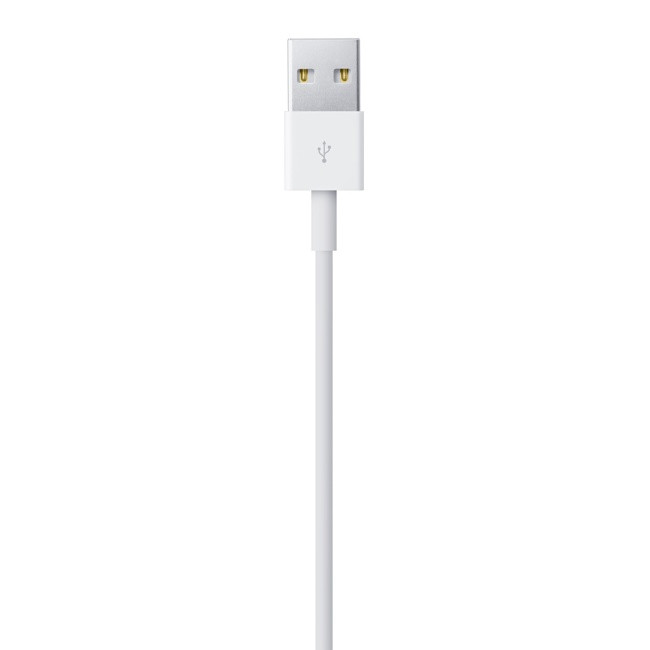 Apple Cavo da Lightning a USB (2 m)
