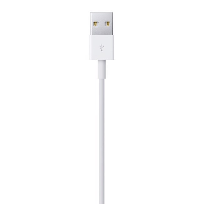 Apple Cavo da lightning a USB 2mt