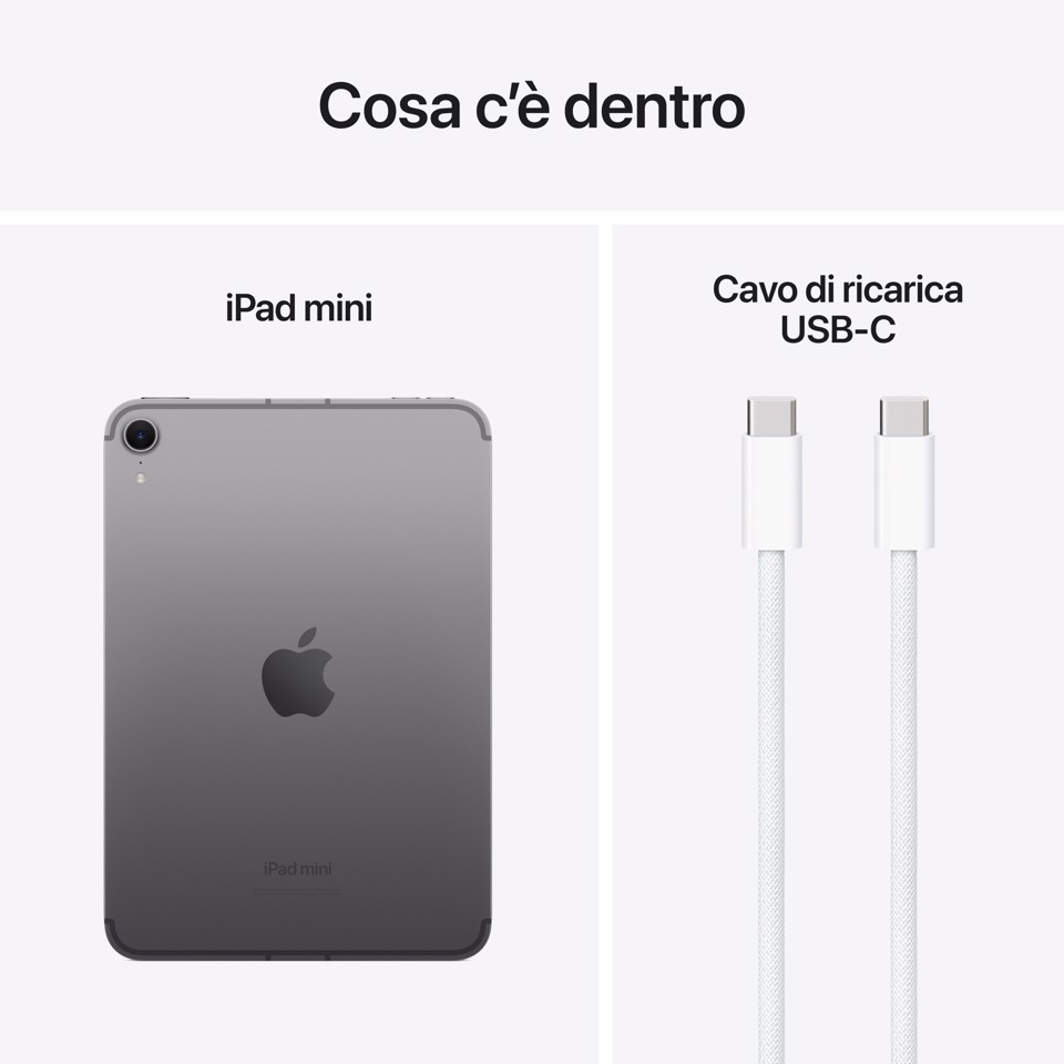 Apple iPad mini Wi-Fi + Cellular 128GB - Grigio Siderale