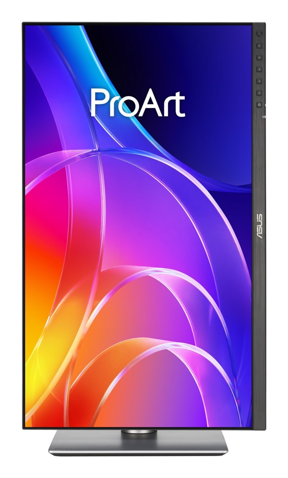 ASUS ProArt PA249CGV Monitor PC 60,5 cm (23.8") 1920 x 1080 Pixel Full HD LCD Nero, Argento