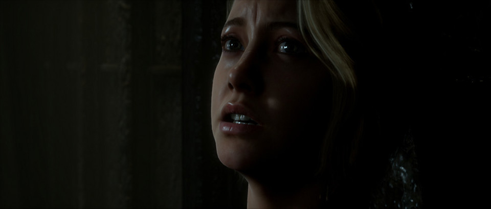 BANDAI NAMCO Entertainment The Dark Pictures Anthology: Man of Medan, PS4 Basic ITA PlayStation 4