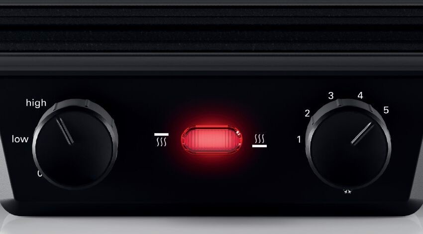 Bosch Bistecchierasilver