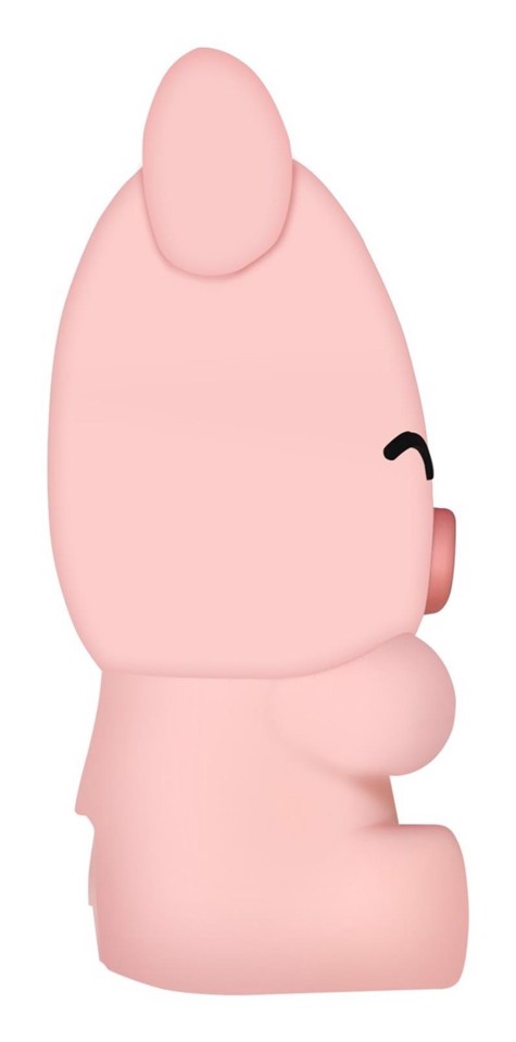 Celly PBPIG batteria portatile Polimeri di litio (LiPo) 2600 mAh Rosa