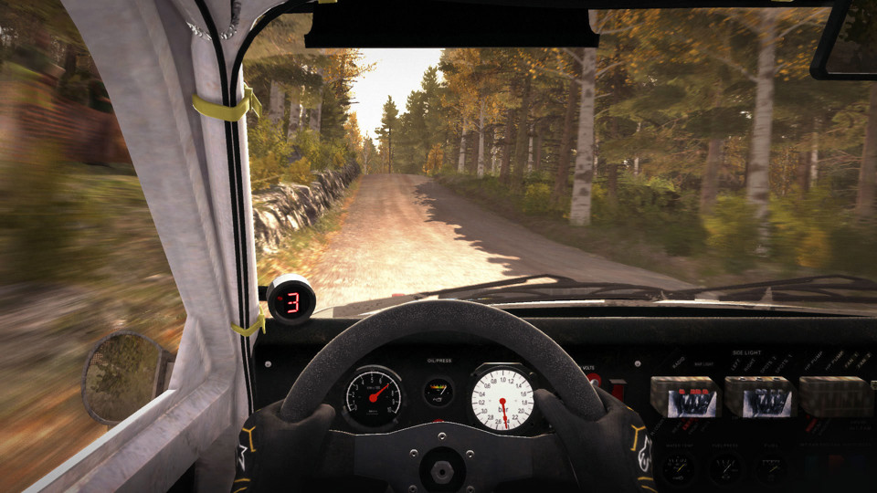 Codemasters DiRT Rally, PS4 Basic Inglese PlayStation 4