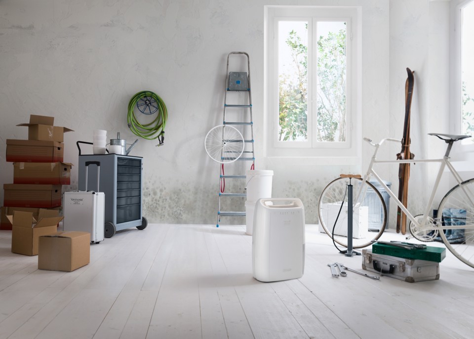 De’Longhi Tasciugo AriaDry - Deumidificatore, Capacità deumidificazione 10l/24h, Serbatoio 2,1L, Bianco (DEX210SF)