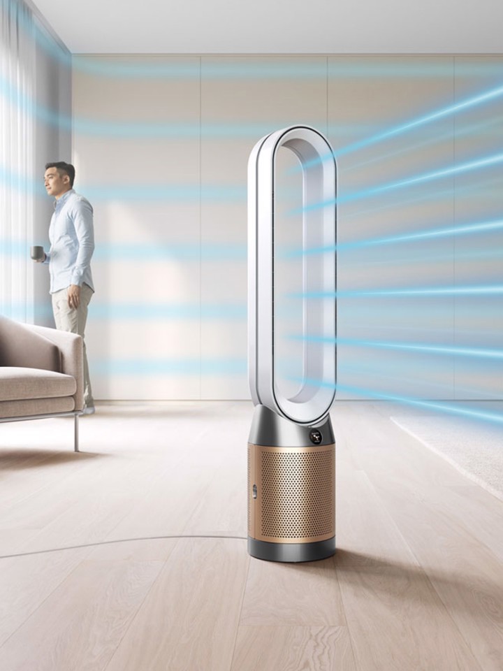 Dyson Purificatore Purifier Cool PC2 De-Nox