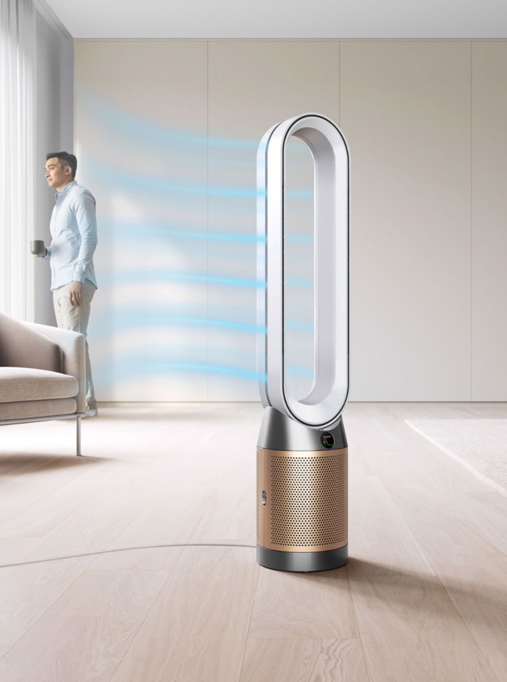 Dyson Purificatore Purifier Cool PC2 De-Nox