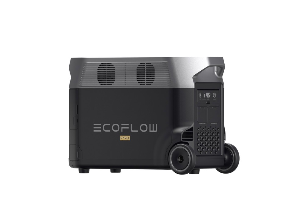 EcoFlow Delta Pro Power Station Portatile
