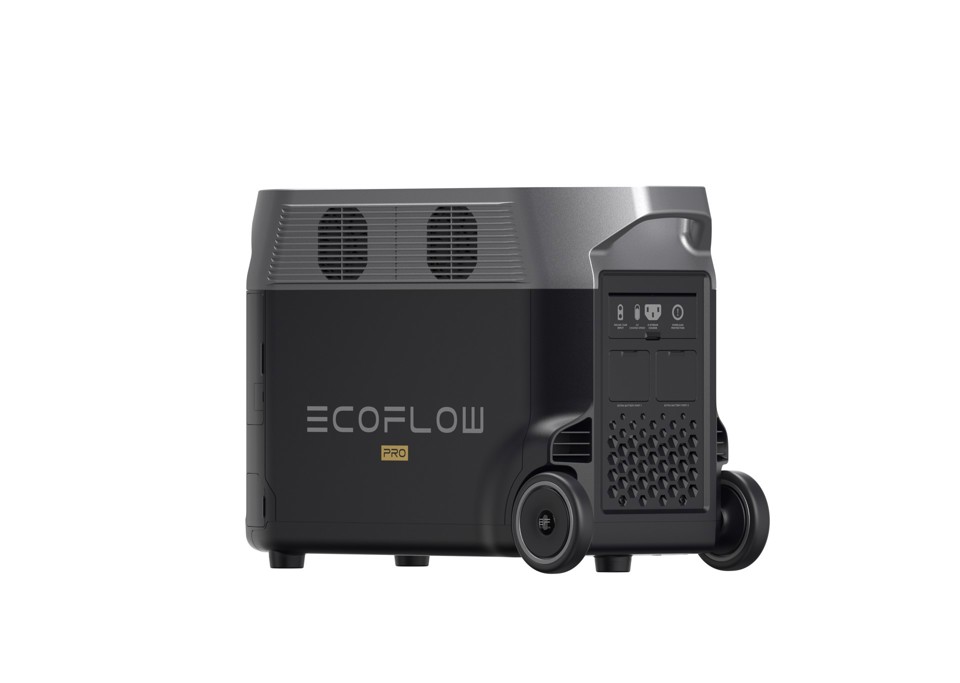 EcoFlow Delta Pro Power Station Portatile