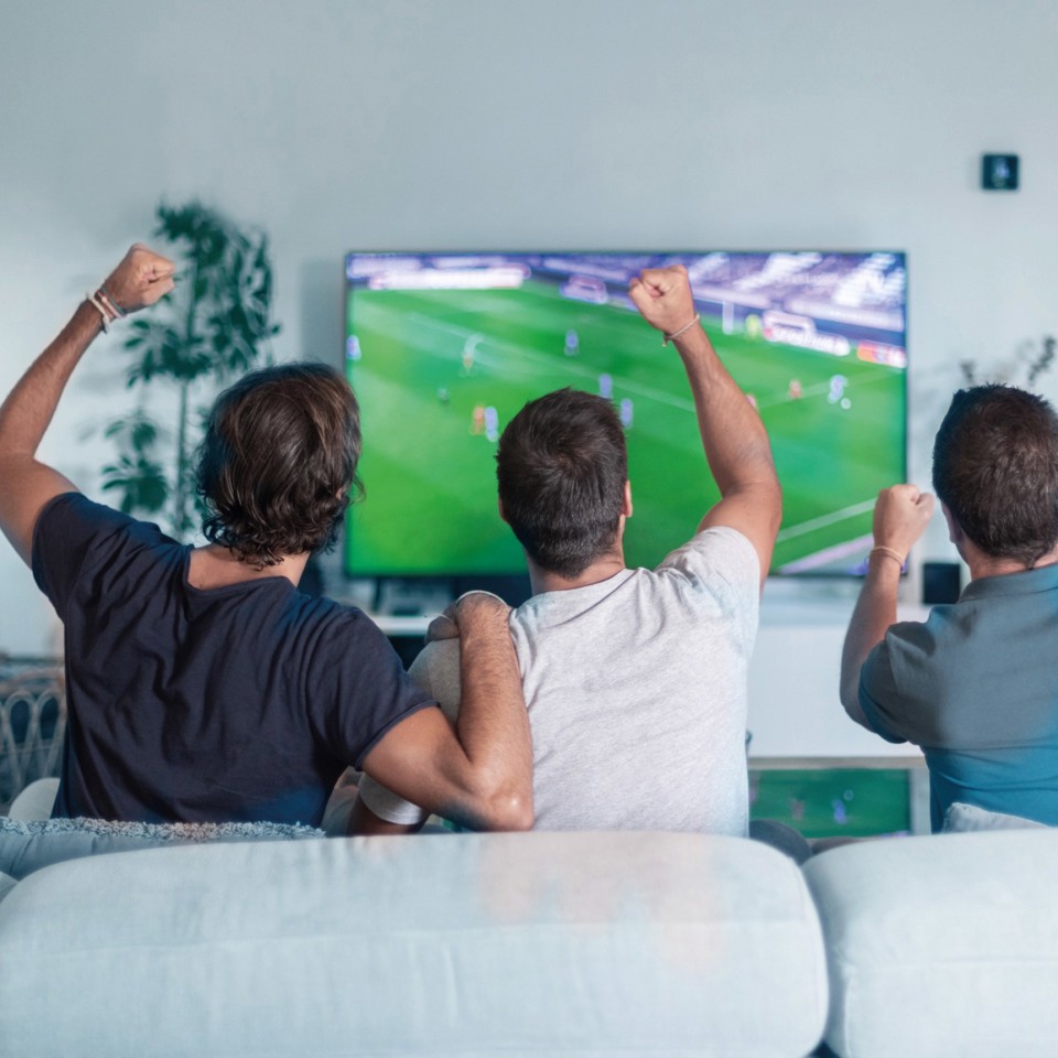 Ekon ECAN100MECOMFW cavo coassiale 10 m Bianco