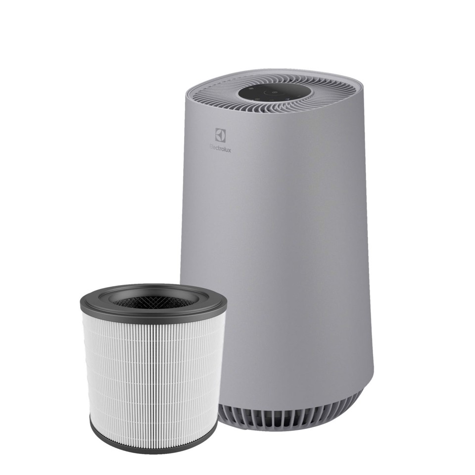 Electrolux EFFBRZ2 Filtro per purificatore d'aria