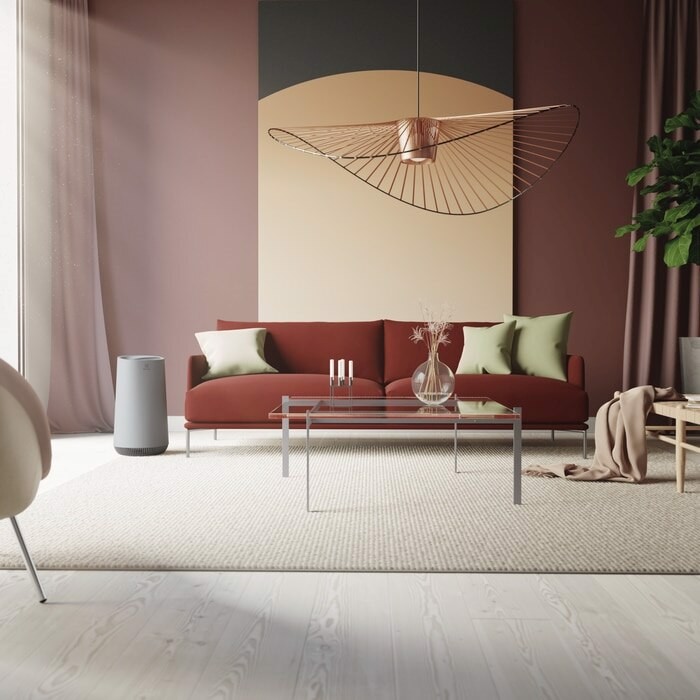 Electrolux EFFCAR2 Filtro per purificatore d'aria