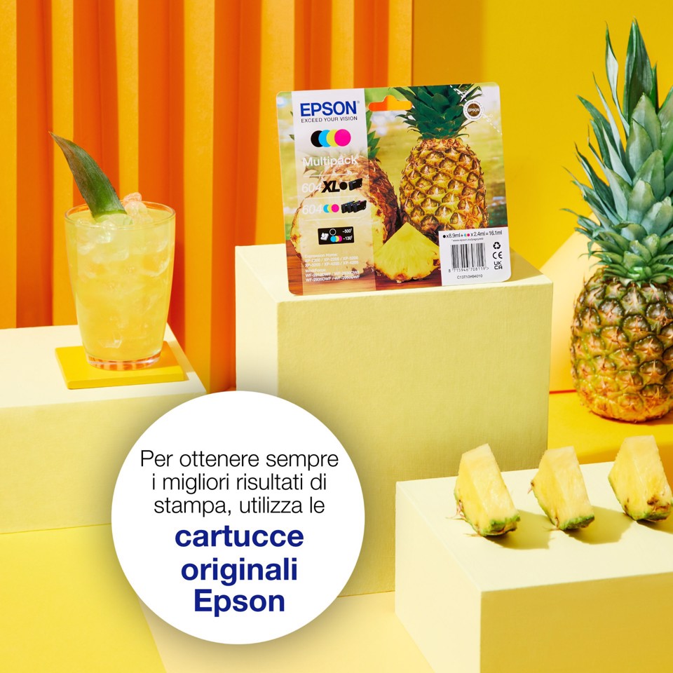 Epson Singlepack Black 604 Ink