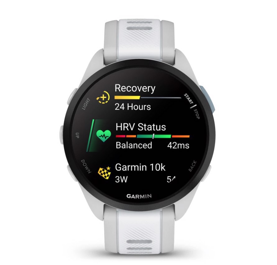 Garmin Forerunner 165 3,05 cm (1.2") AMOLED 43 mm Digitale 390 x 390 Pixel Touch screen Grigio GPS (satellitare)