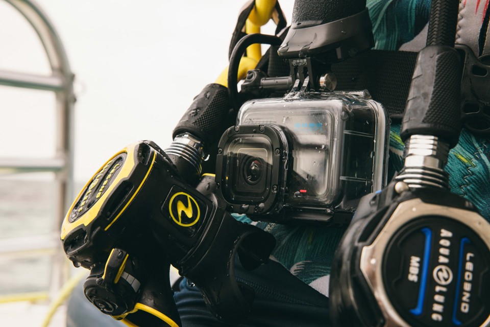 GoPro ADDIV-001-VT accessorio per fotocamera sportiva Custodia per macchina fotografica