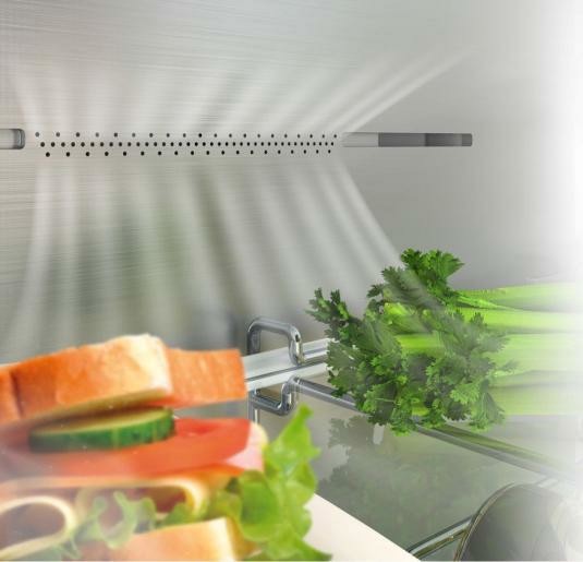 Hisense RB440N4CCB monoporta Libera installazione 300 L Argento