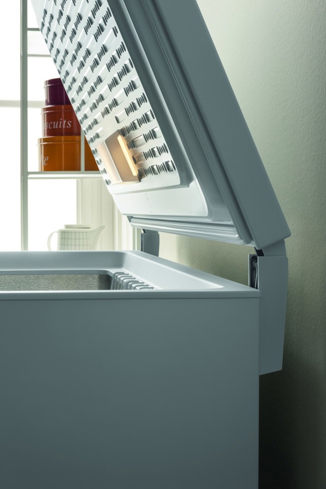 Indesit OS 2A 250 Congelatore a pozzo Libera installazione 255 L E Bianco