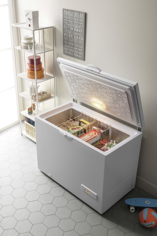 Indesit OS 2A 300 H Congelatore a pozzo Libera installazione 315 L E Bianco