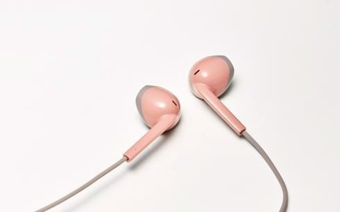 JVC HA-F19M-PT Auricolare Cablato In-ear Musica e Chiamate Grigio, Rosa