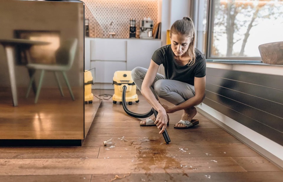 Kärcher WD 2 Plus V-12/4/18 12 L Aspiratore a cilindro Secco e bagnato 1000 W Sacchetto per la polvere