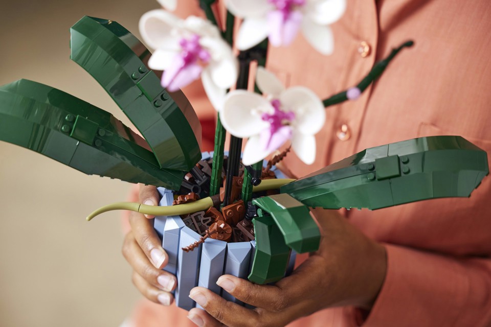 LEGO Botanicals 10311 Orchidea Modellino da Costruire con Fiori Finti e Vaso