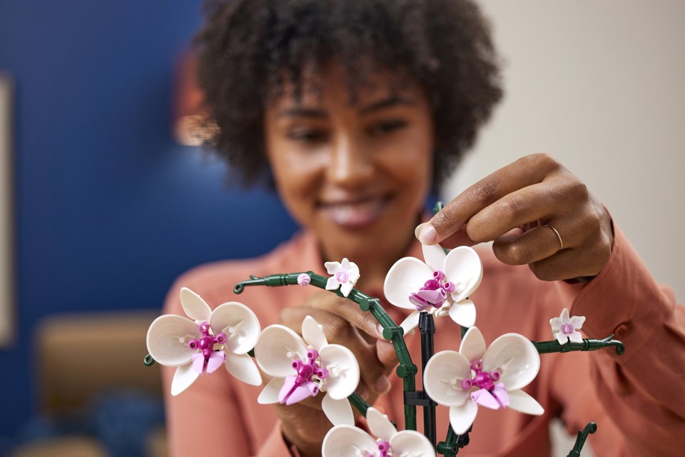 LEGO Botanicals 10311 Orchidea Modellino da Costruire con Fiori Finti e Vaso