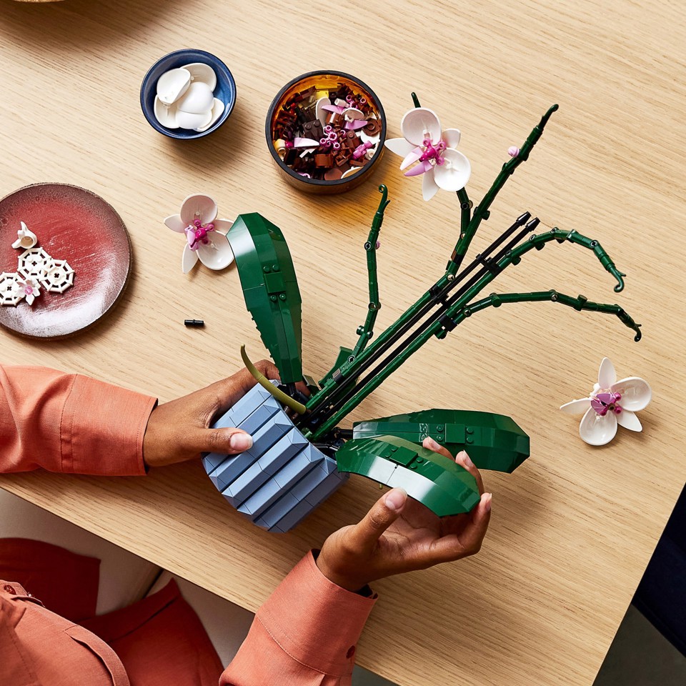 LEGO Botanicals 10311 Orchidea Modellino da Costruire con Fiori Finti e Vaso