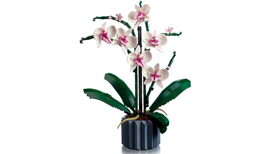 LEGO Botanicals 10311 Orchidea Modellino da Costruire con Fiori Finti e Vaso