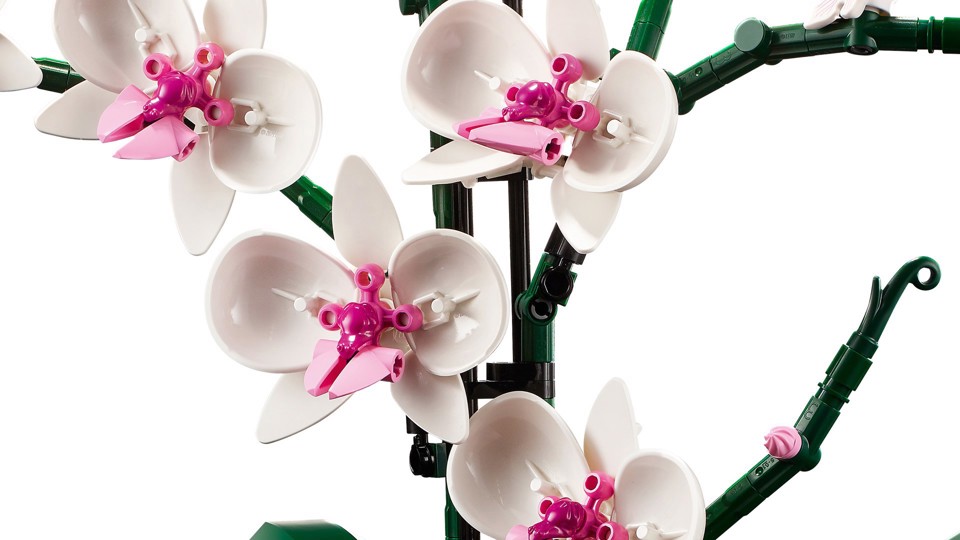 LEGO Botanicals 10311 Orchidea Modellino da Costruire con Fiori Finti e Vaso