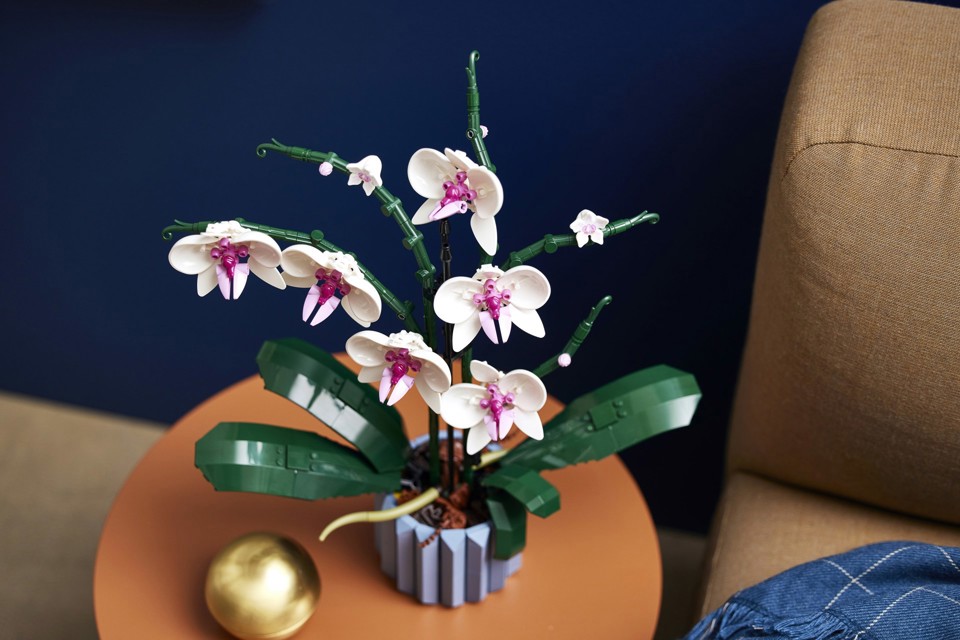LEGO Botanicals 10311 Orchidea Modellino da Costruire con Fiori Finti e Vaso