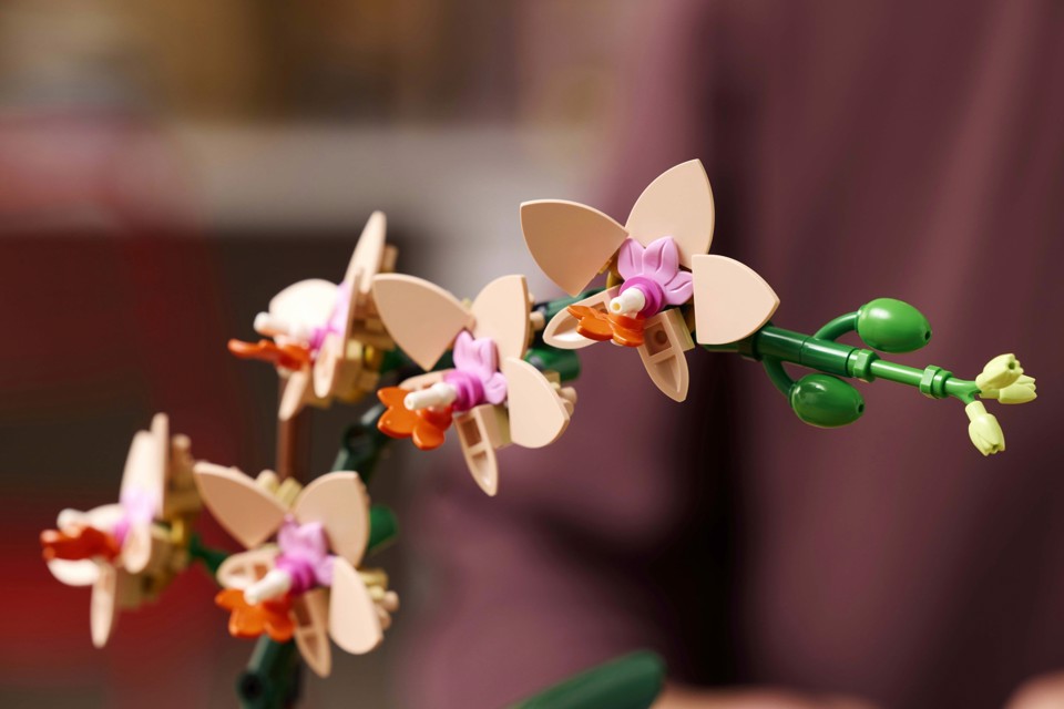 LEGO Botanicals 10343 Mini-Orchidea, Fiori Finti da Costruire, Botanical Collection per Adulti, Idea Regalo per Donna o Uomo