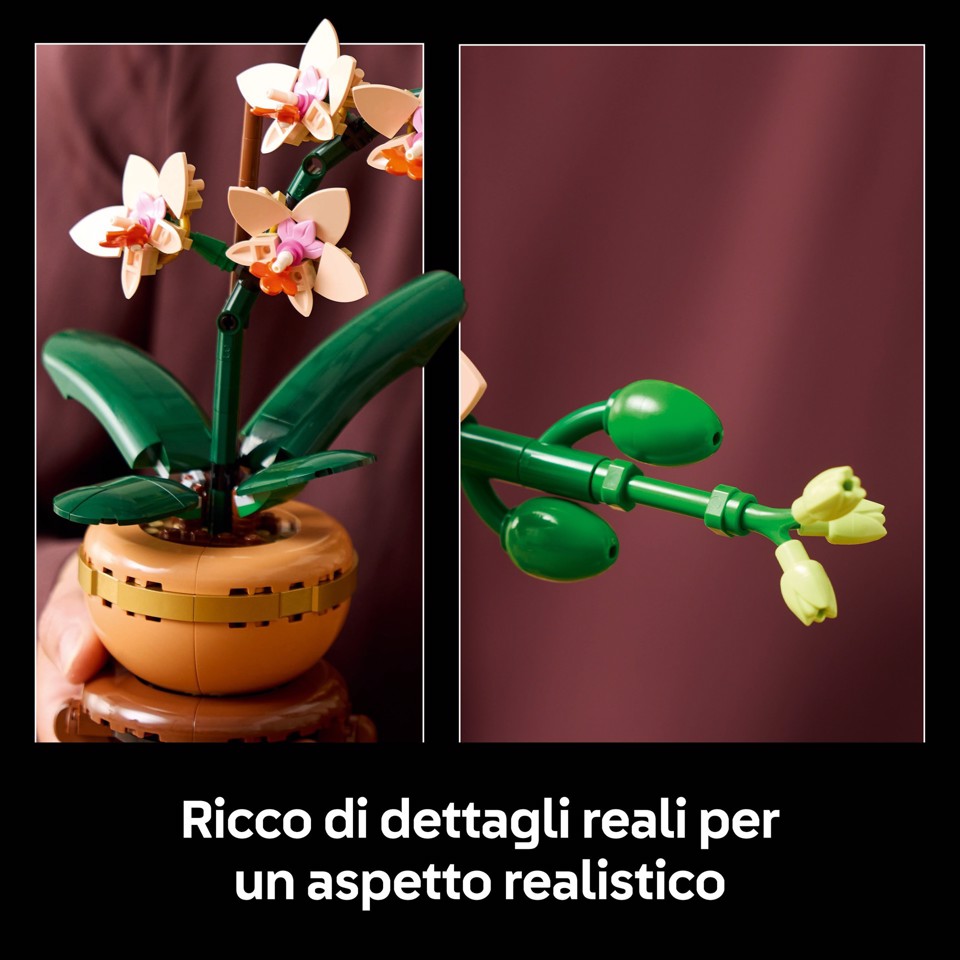 LEGO Botanicals 10343 Mini-Orchidea, Fiori Finti da Costruire, Botanical Collection per Adulti, Idea Regalo per Donna o Uomo