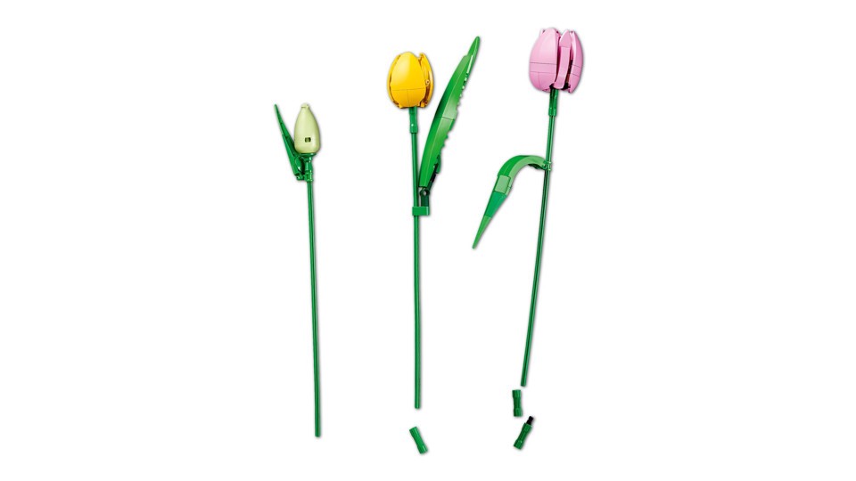 LEGO Botanicals 11501 Bouquet di Tulipani, 14 Fiori Finti da Costruire per Adulti in 5 Colori, Regalo Fai da Te per Donne