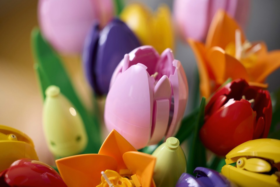 LEGO Botanicals 11501 Bouquet di Tulipani, 14 Fiori Finti da Costruire per Adulti in 5 Colori, Regalo Fai da Te per Donne
