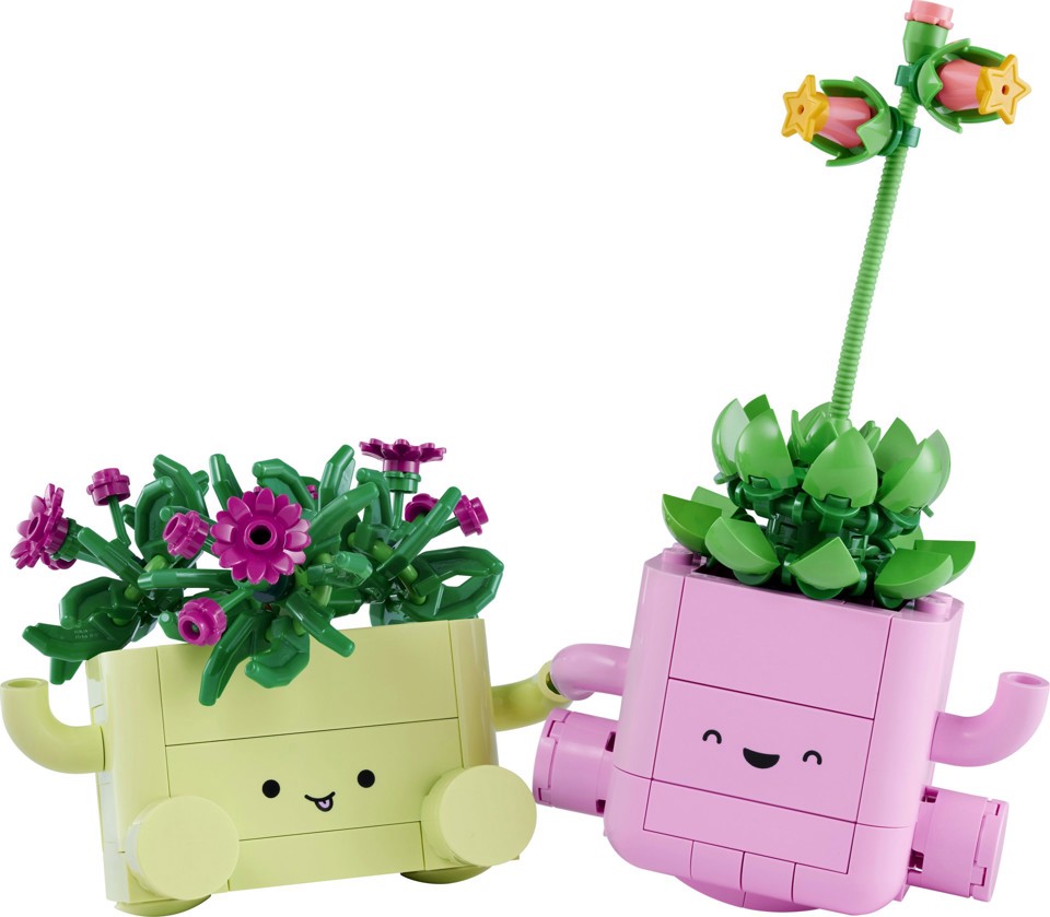 LEGO Botanicals 11506 Piante Dondolanti, Set con 2 Piante Finte e 2 Vasi