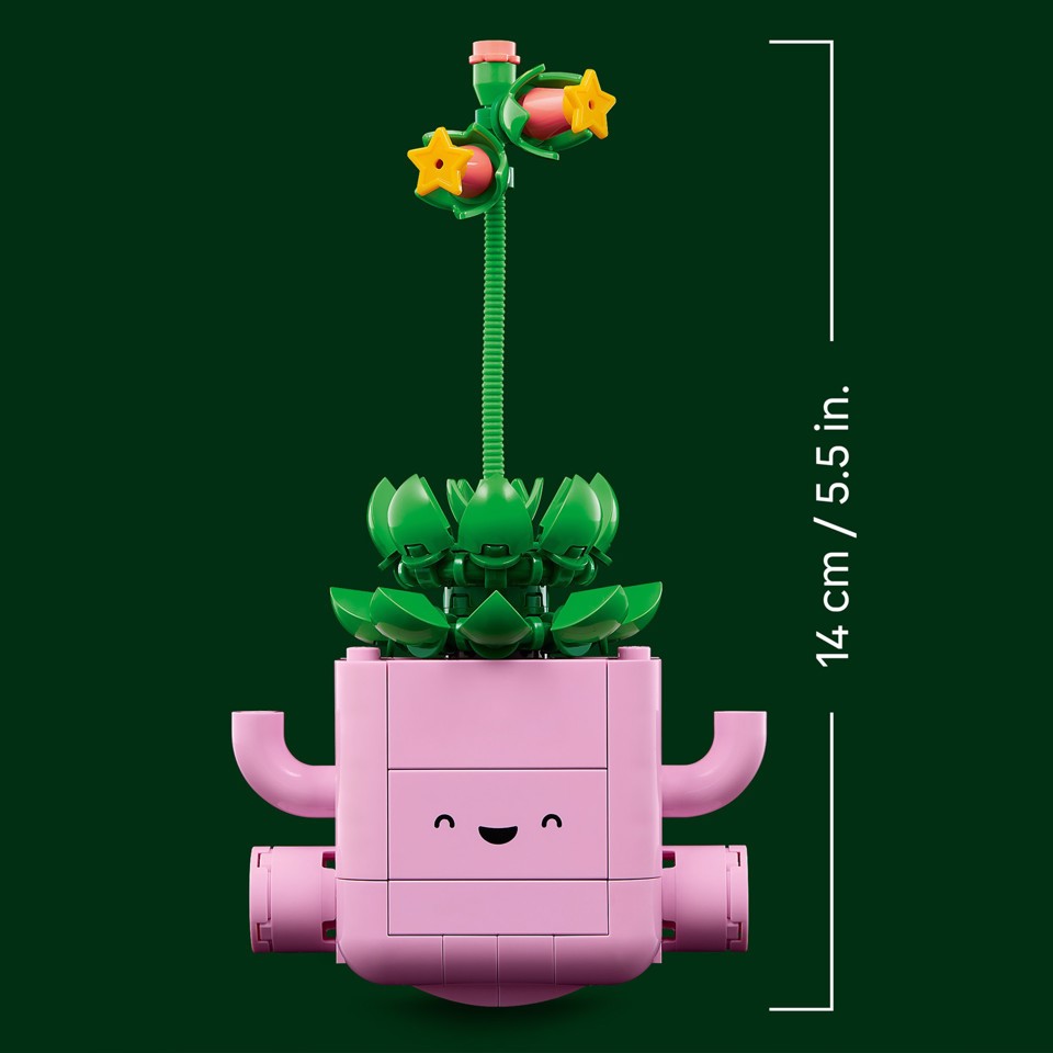 LEGO Botanicals 11506 Piante Dondolanti, Set con 2 Piante Finte e 2 Vasi - Decorazione da Camera da Letto, Regalo Bambine 9+