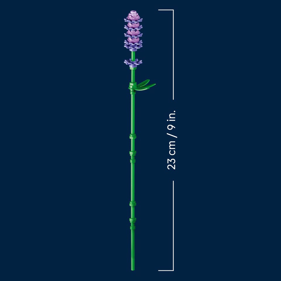 LEGO Botanicals 11508 Margherite, Bouquet di Fiori Artificiali con Margherite Finte, Lavanda, Regalo di Compleanno Bambine 9+