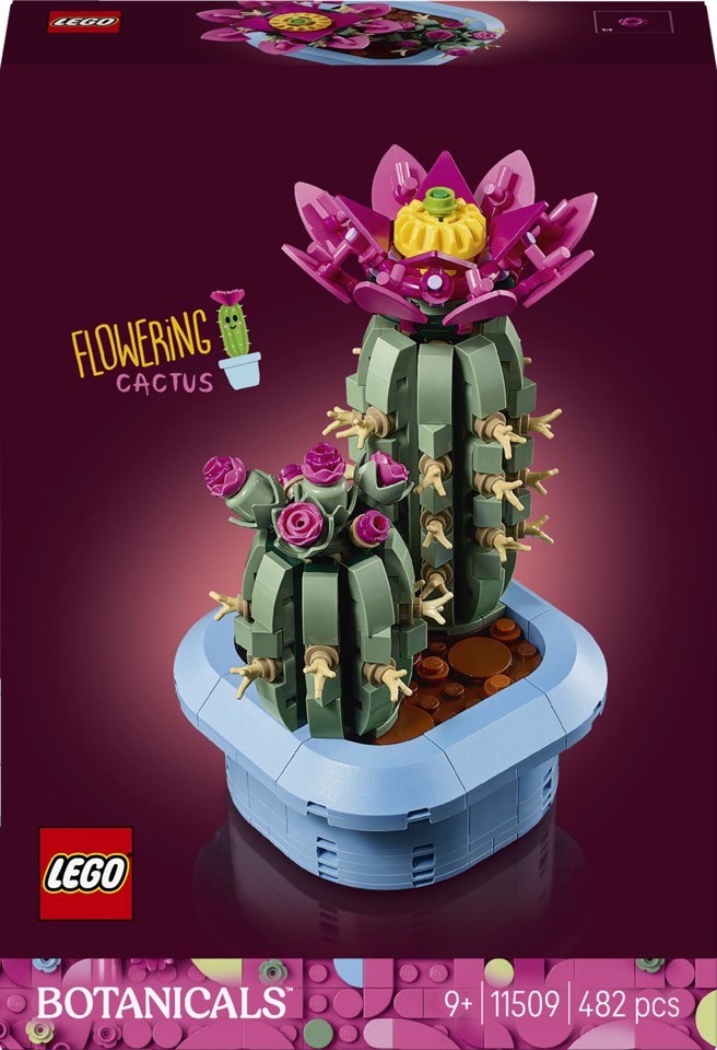 LEGO Botanicals 11509 Cactus in Fiore, Pianta Artificiale in Vaso con 2 Cactus e Fiori Finti