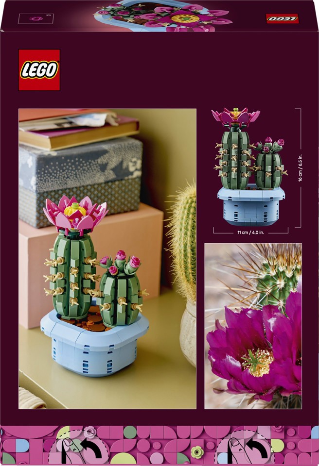 LEGO Botanicals 11509 Cactus in Fiore, Pianta Artificiale in Vaso con 2 Cactus e Fiori Finti