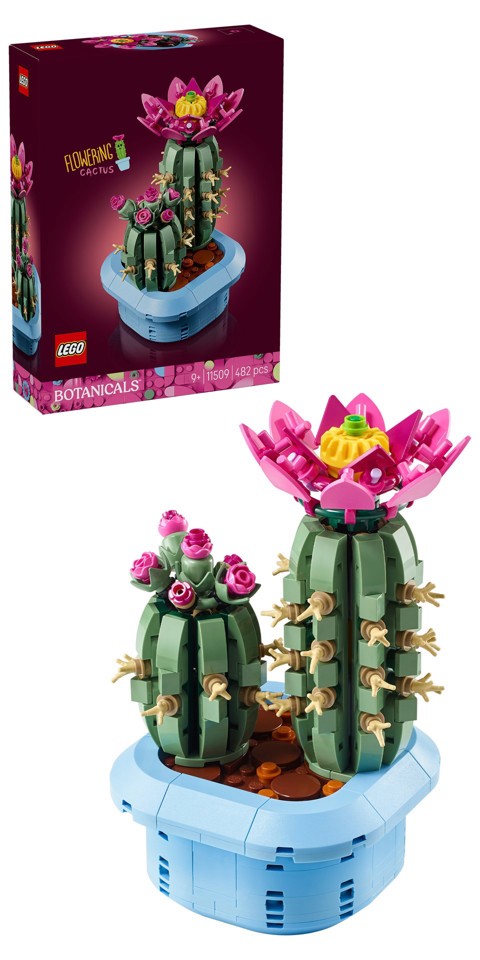 LEGO Botanicals 11509 Cactus in Fiore, Pianta Artificiale in Vaso con 2 Cactus e Fiori Finti