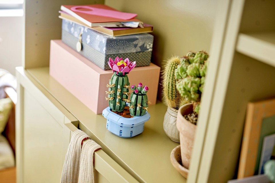 LEGO Botanicals 11509 Cactus in Fiore, Pianta Artificiale in Vaso con 2 Cactus e Fiori Finti