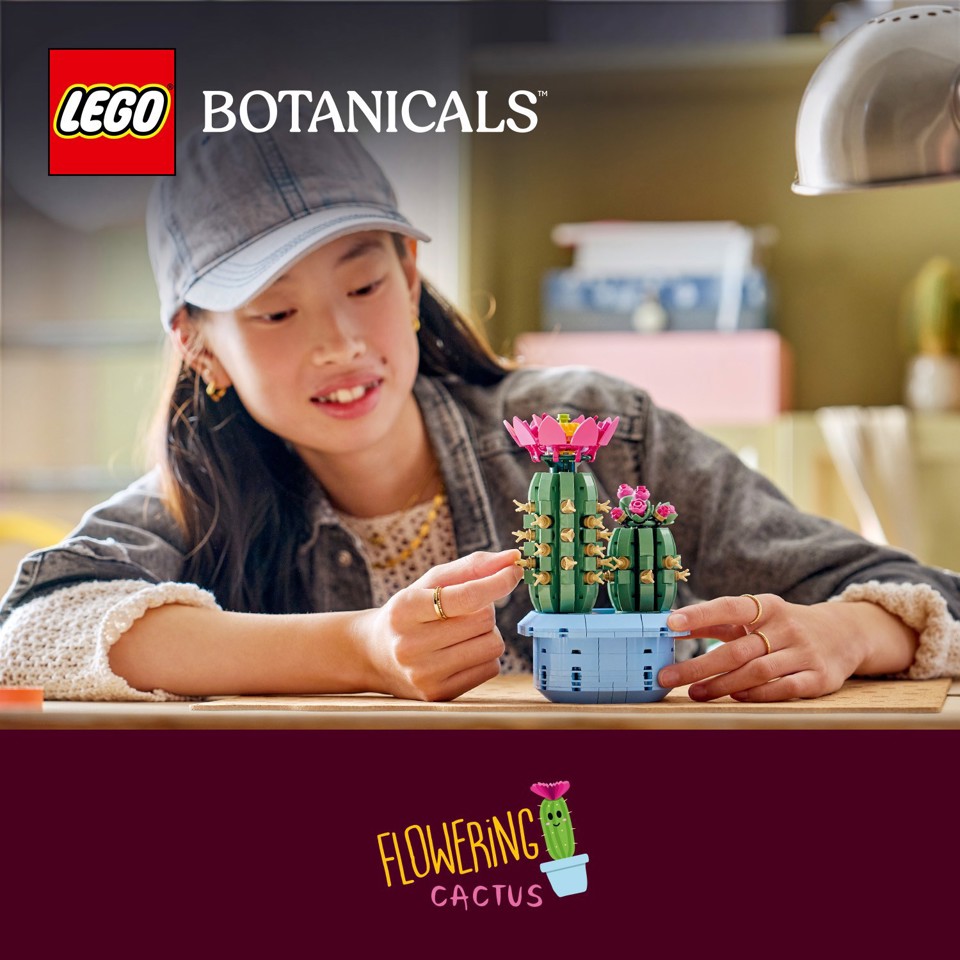 LEGO Botanicals 11509 Cactus in Fiore, Pianta Artificiale in Vaso con 2 Cactus e Fiori Finti