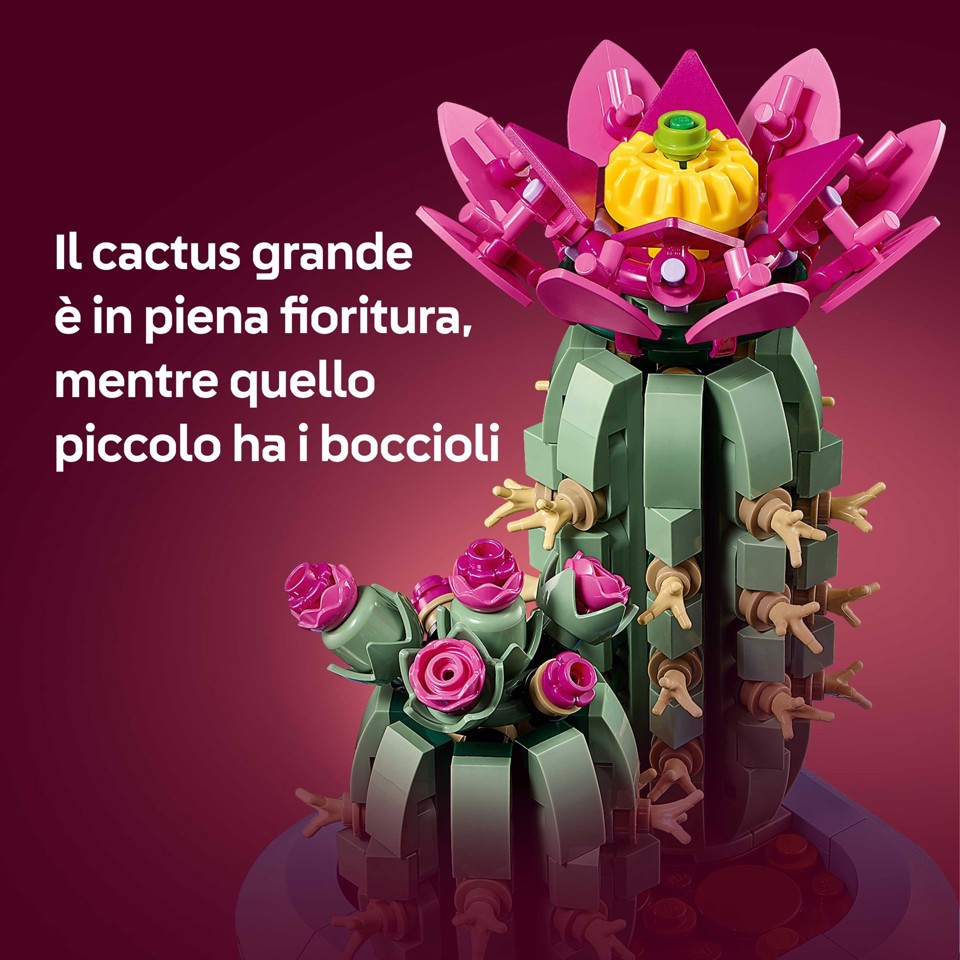 LEGO Botanicals 11509 Cactus in Fiore, Pianta Artificiale in Vaso con 2 Cactus e Fiori Finti