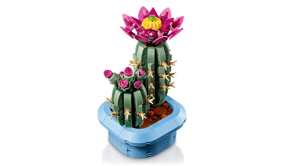 LEGO Botanicals 11509 Cactus in Fiore, Pianta Artificiale in Vaso con 2 Cactus e Fiori Finti, Idea Regalo per Bambine da 9+