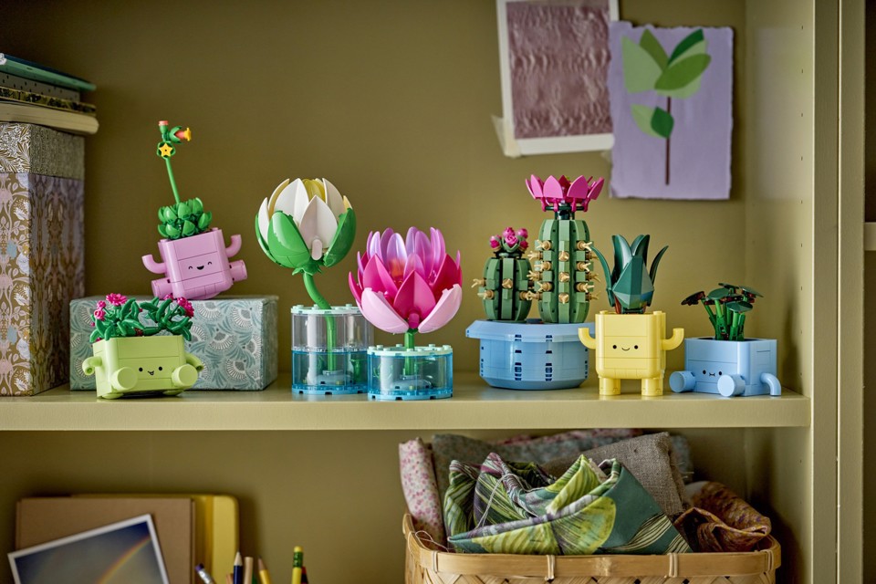 LEGO Botanicals 11509 Cactus in Fiore, Pianta Artificiale in Vaso con 2 Cactus e Fiori Finti, Idea Regalo per Bambine da 9+
