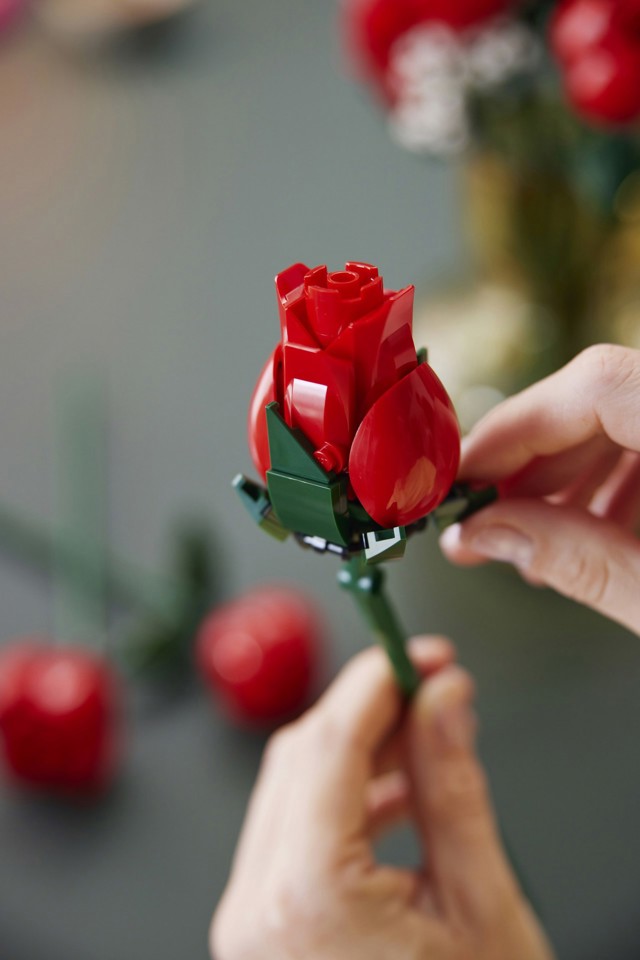 LEGO Botanicals Bouquet di rose