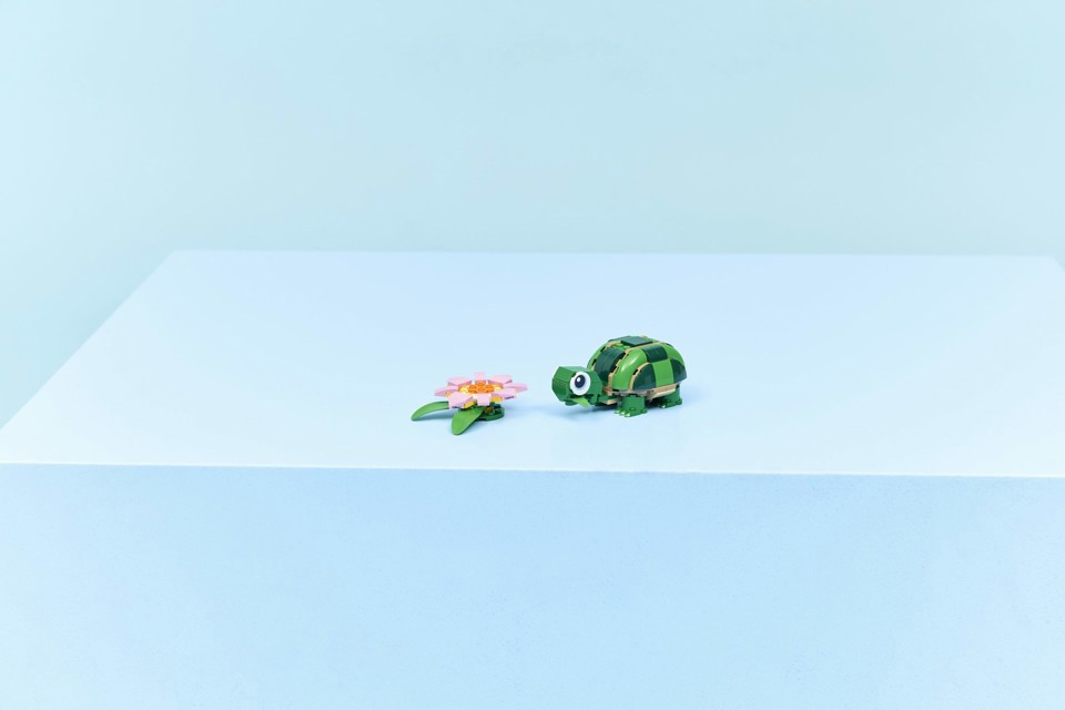 LEGO Creator 31377 3in1 Tartaruga con Fiore di Ninfea, Animale Giocattolo Trasformabile in Camaleonte o Rana