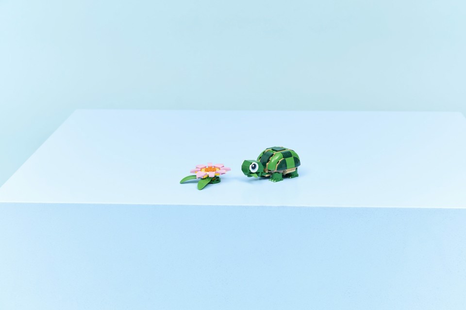 LEGO Creator 31377 3in1 Tartaruga con Fiore di Ninfea, Animale Giocattolo Trasformabile in Camaleonte o Rana, Regalo 7+ Anni